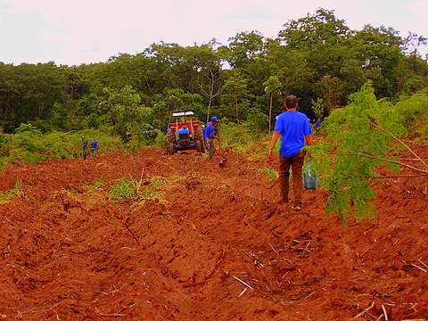 [PLANTANDO+ARVORES.JPG]