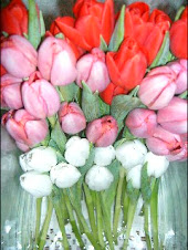 Tulipes en rang