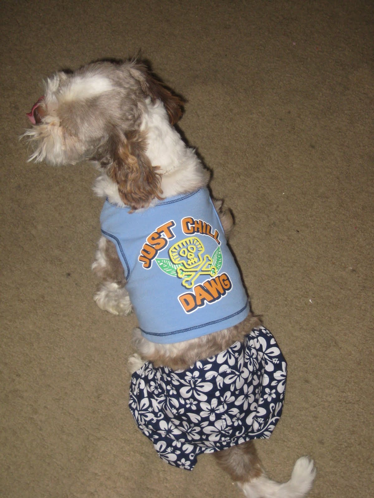 The Walker Family Snickers Halloween Costume