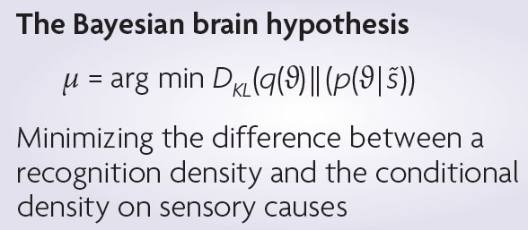 [the+bayesian+brain+hypothesis.jpg]