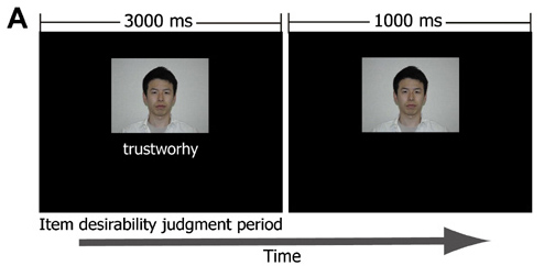 [fig2A_social+reward+exp.jpg]