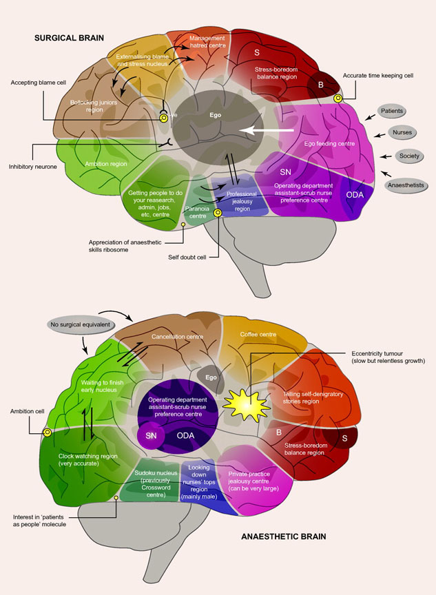 [surgical+brain_anaesthetic+brain.jpg]