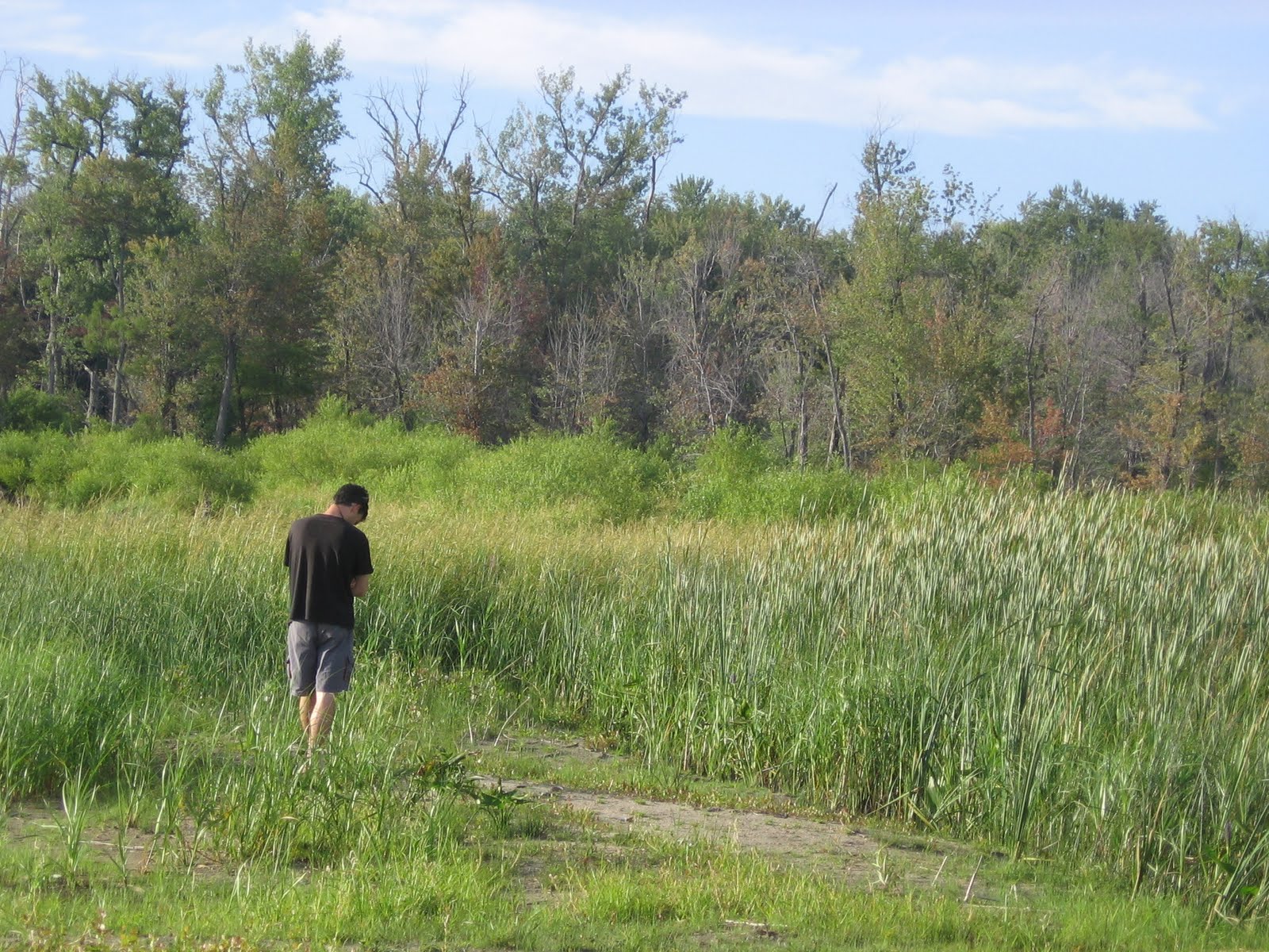 The Foraging Family: Wild Rice--Part 2