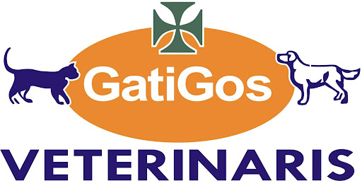 NOTICIAS GatiGos VETERINARIS