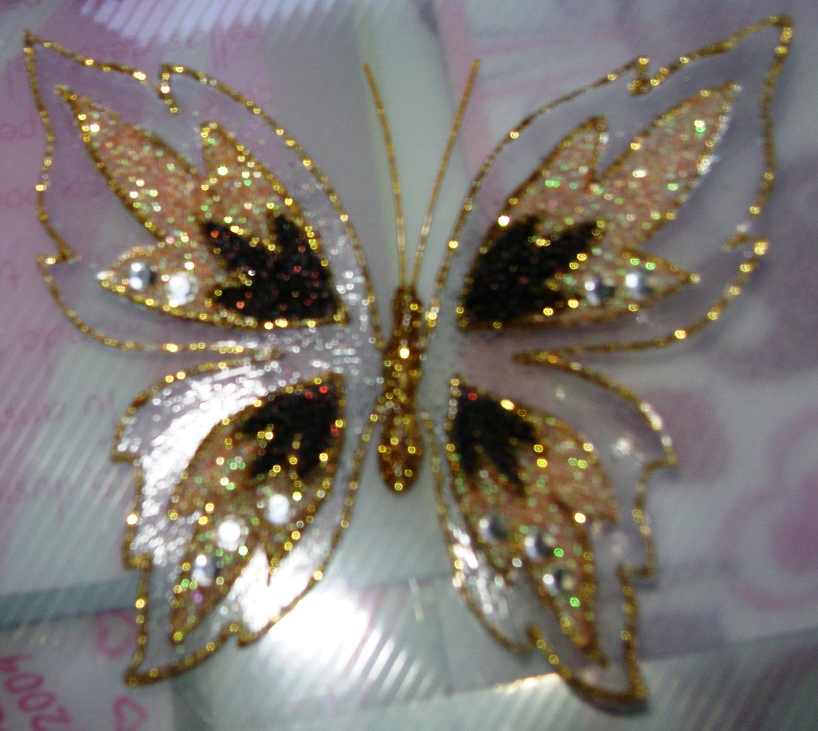 [DSC00448.JPG]