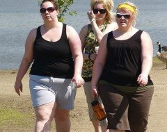  edulcorantes alternativos al azúcar