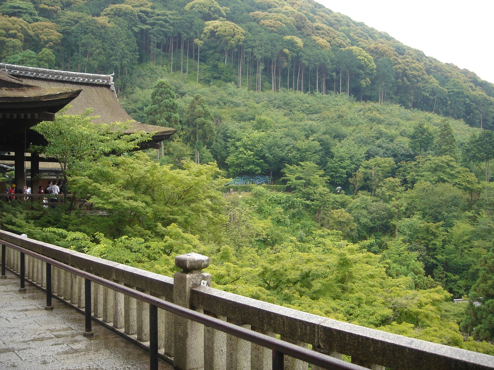 [DSC06475.JPG]