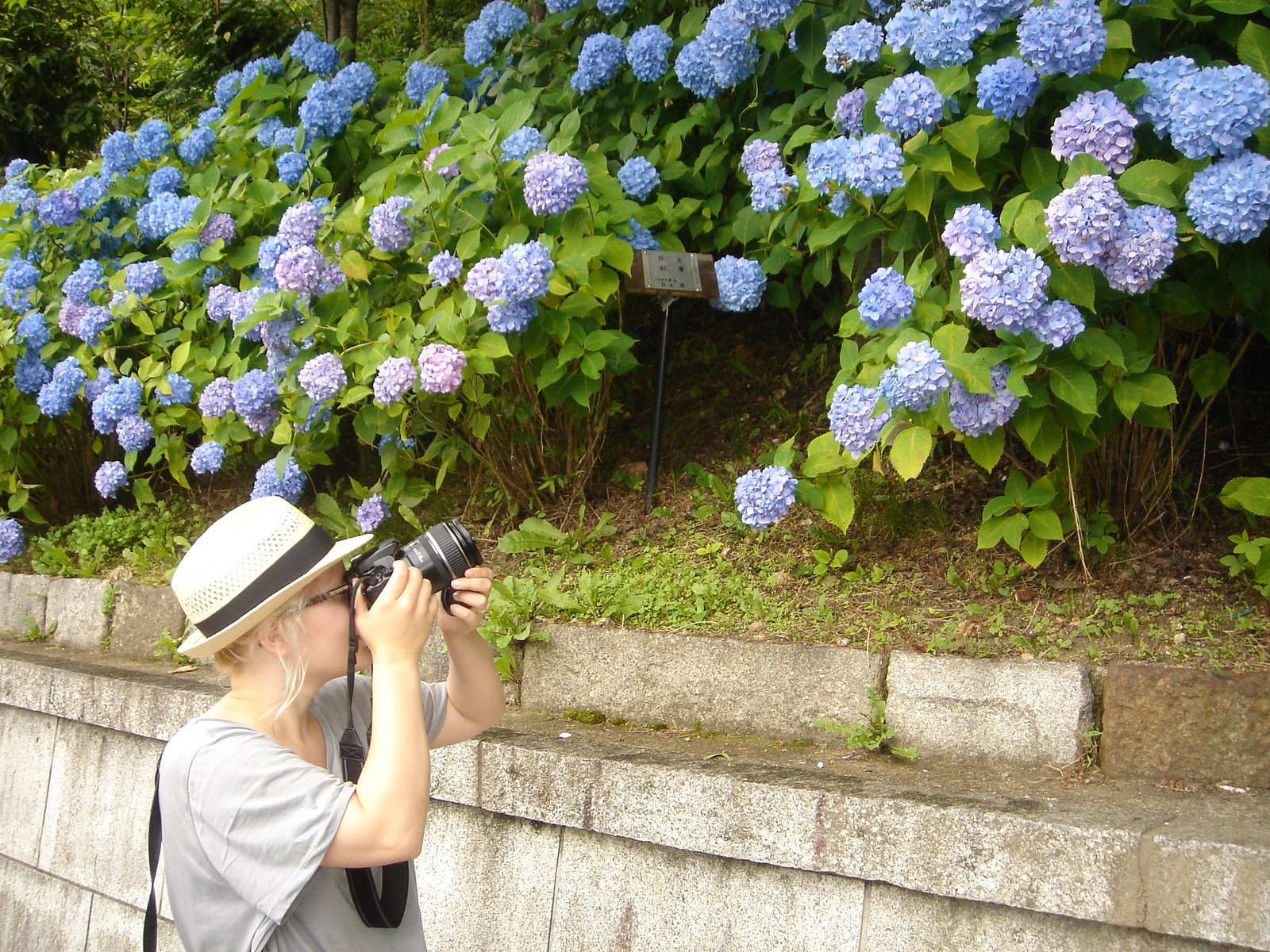 [DSC06487.JPG]