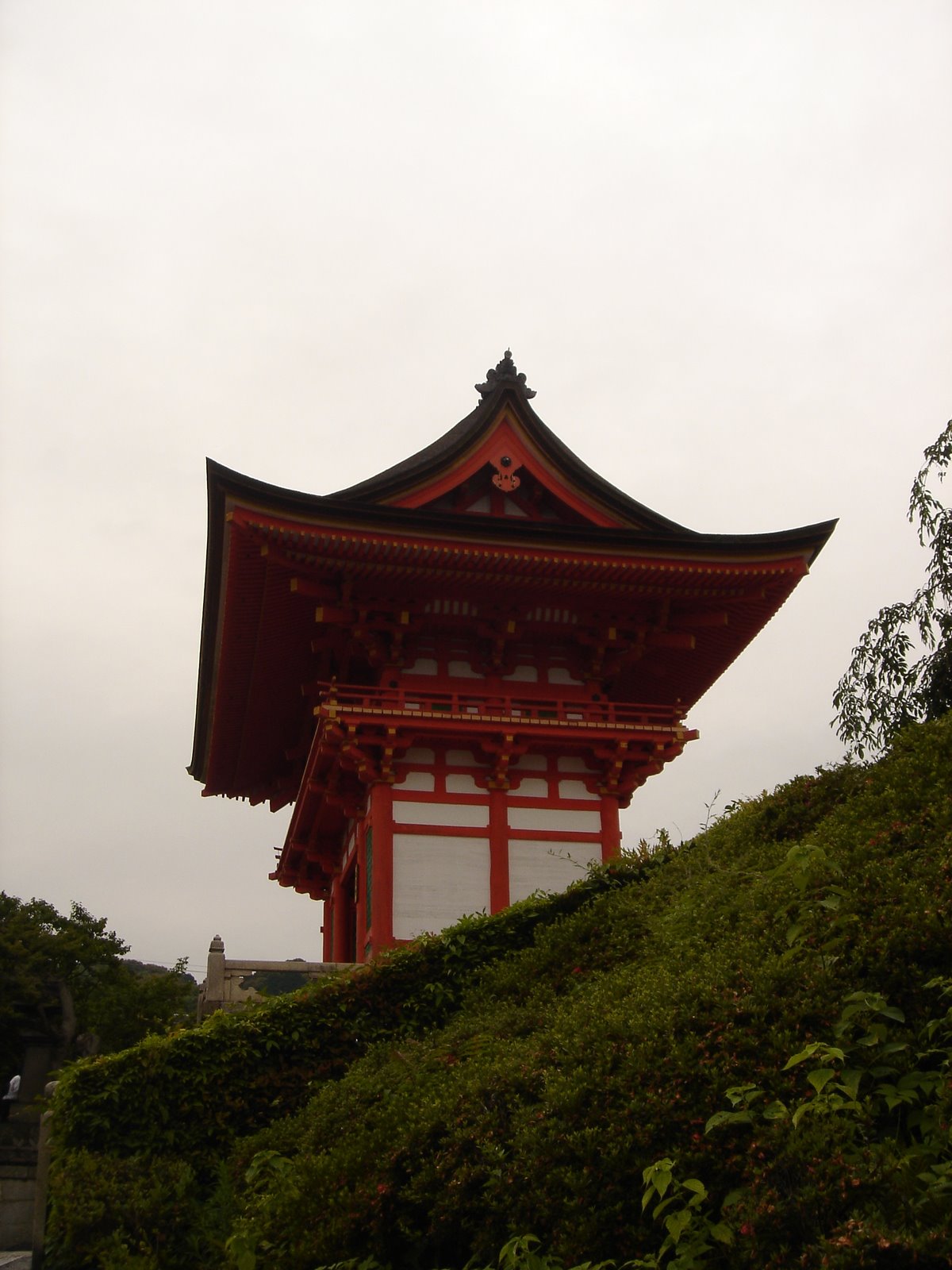 [DSC06491.JPG]
