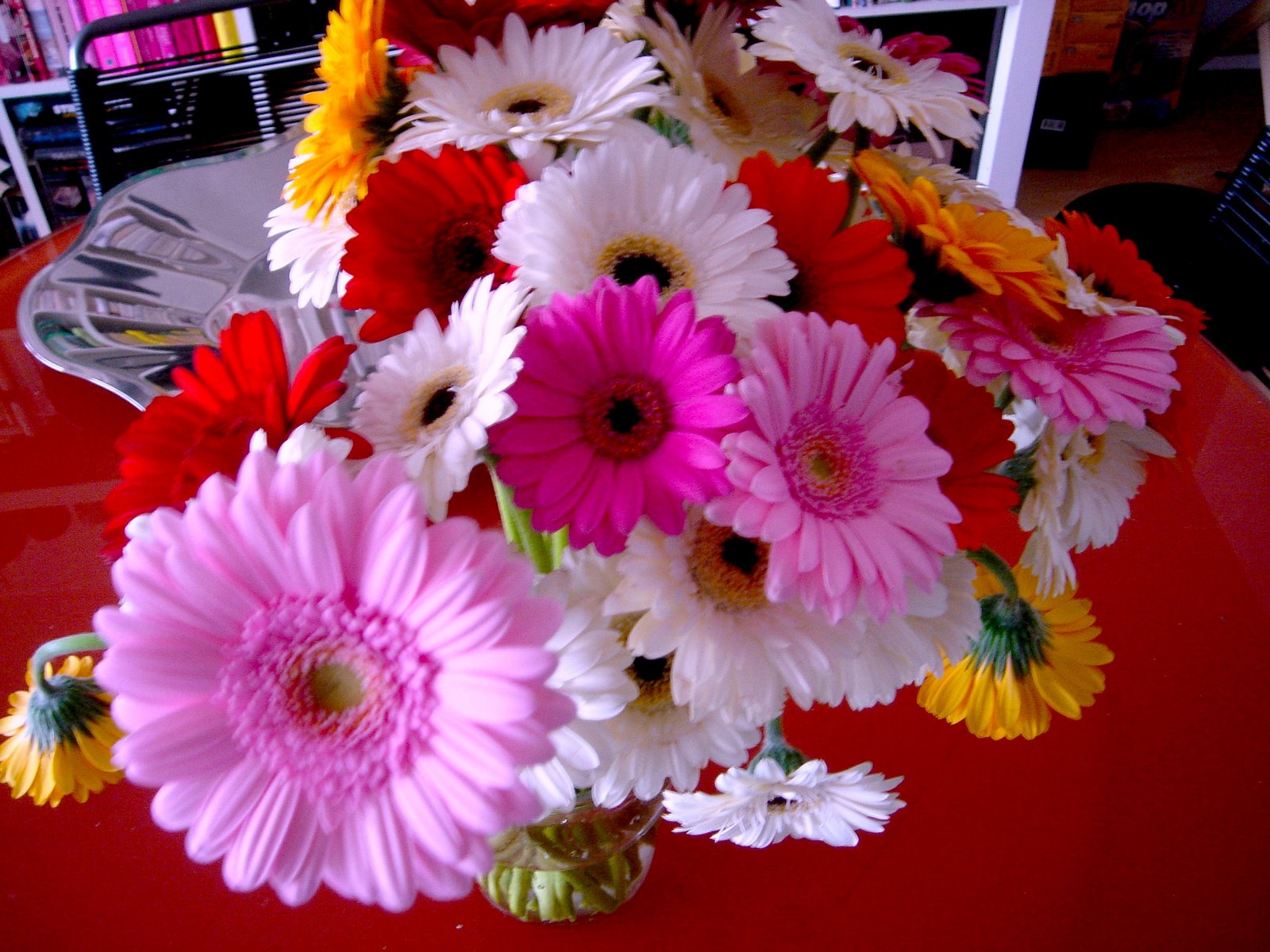 [DSC07301.JPG]