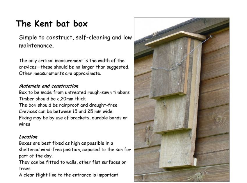 Welcome To The Green Heart Den Bat Boxes 