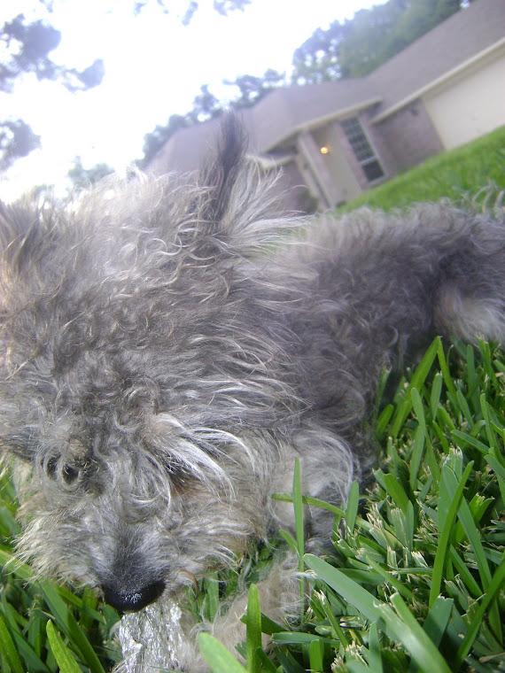 Munchkin