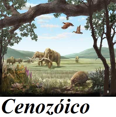 [untitledbkbhjl.bmp]