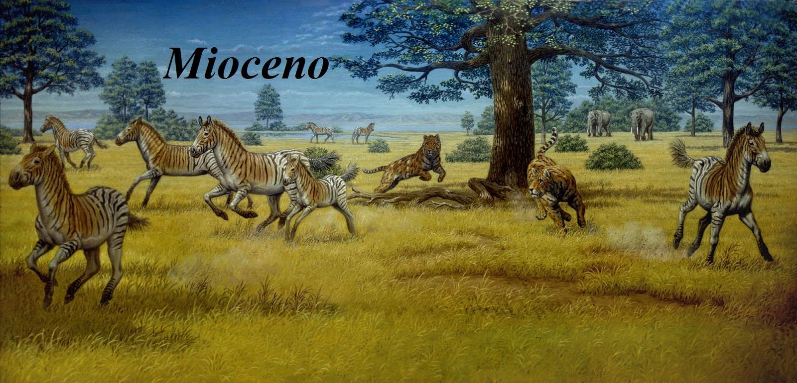 [Figura3Batallones.jpg]