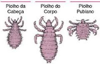 falemos sinceramente: PRAGA DE PIOLHO DE POMBO FECHA CARDIOLOGIA DO ...