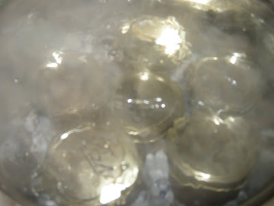 Canning tutorial