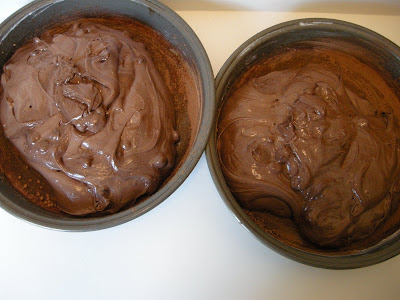 Spread batter evenly between cake pans.