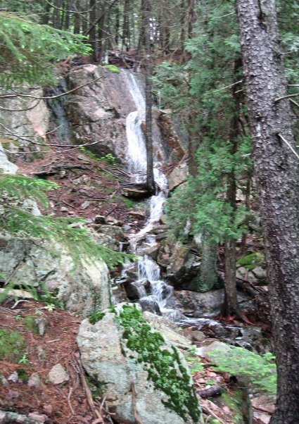 [Somes+Sound+waterfall_1_1.jpg]