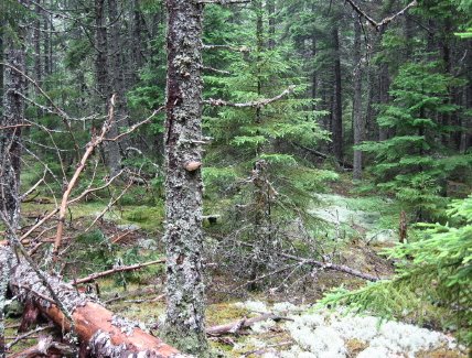 [Indian+Point+preserve_1_1.jpg]