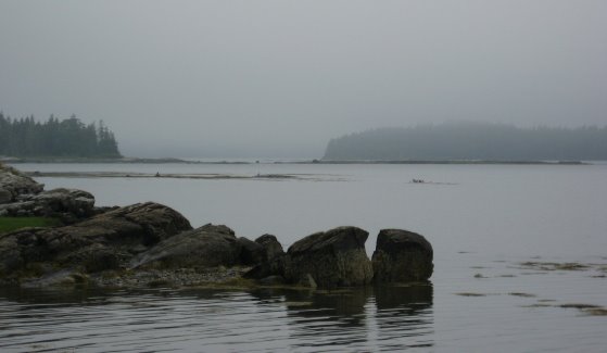 [fog+on+Indianl+Point_1_1.jpg]