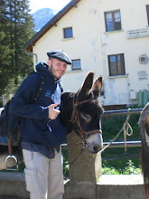 berets and donkeys