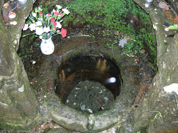 The Source of St Annes Well,Trellech