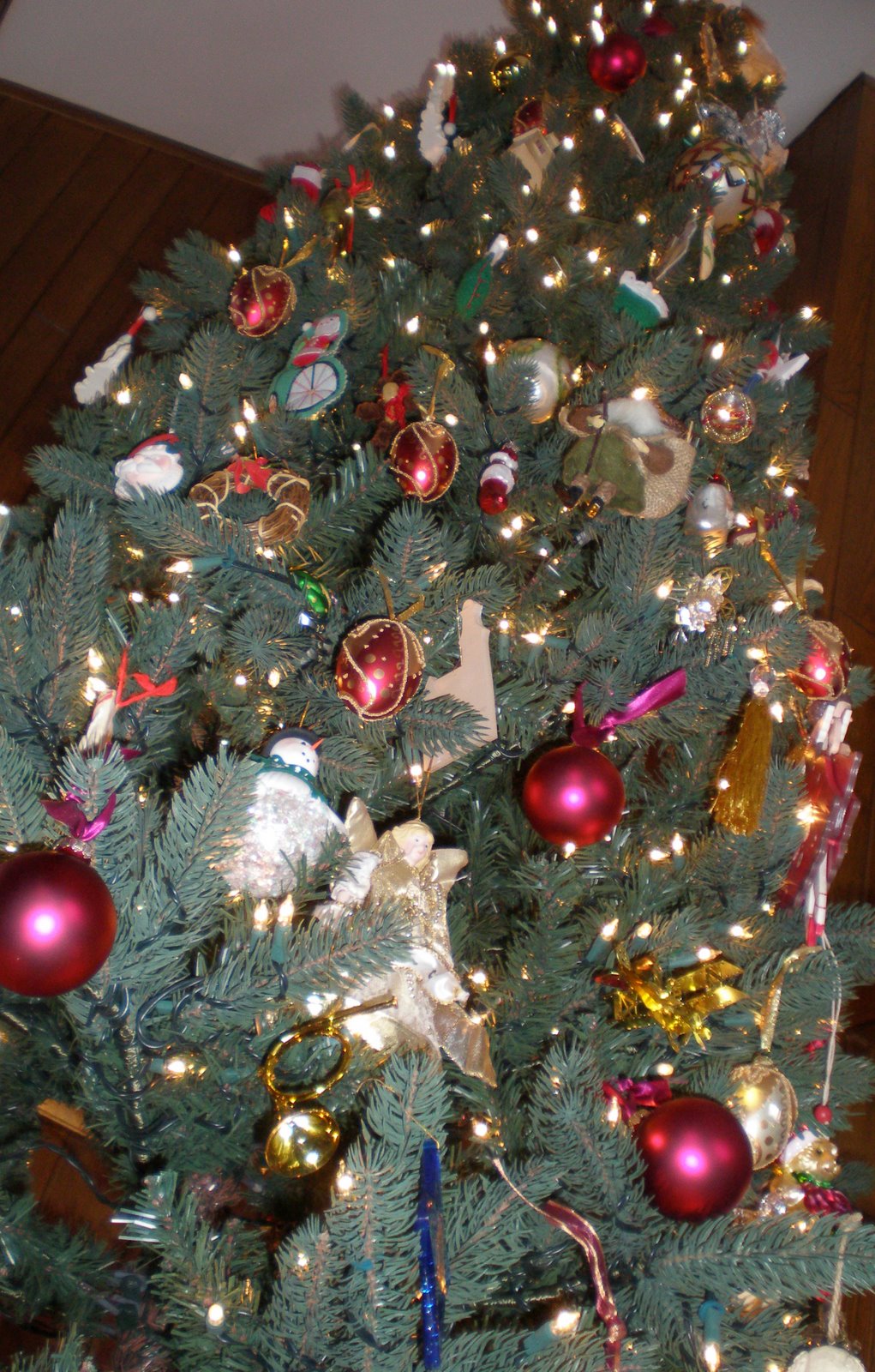 [2008+12+23_0282_edited-1.JPG]