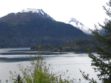 [Vince's+pictures+024.JPG]