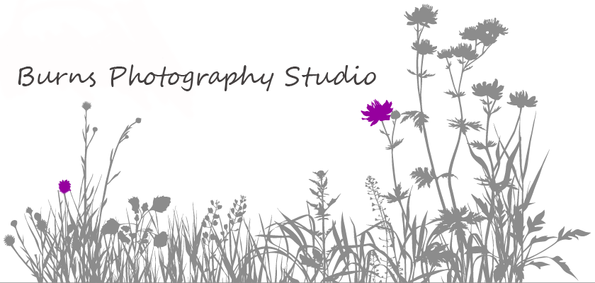 Burns Photography Studio