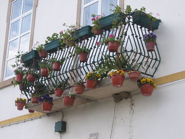 [varanda-Nisa_zorate.jpg]