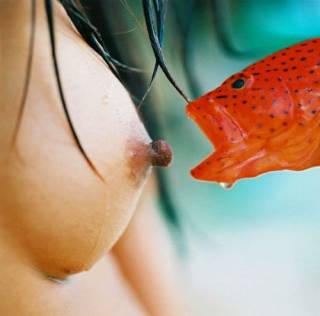 [peixe_mamilo_portugal_porreiro.jpg]
