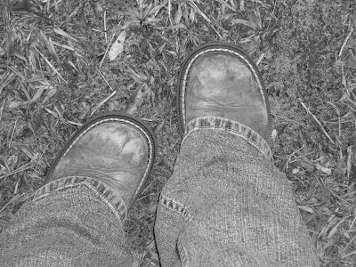 Kristen Nicole's Photography