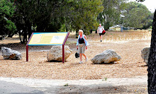 Western Australia's biggest Aboriginal deaths in custody burial ground - on Rottnest