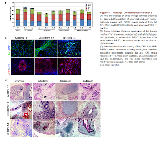 BE115's Tissue Engineering Blog: Highly Efficient Reprogramming to ...