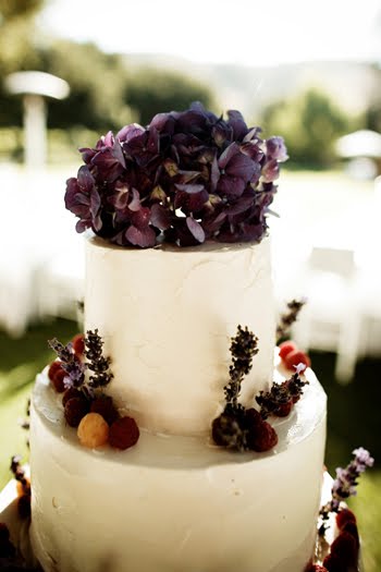 Wedding Cake Bakeries In Naples Florida Wedding Cake Bakeries In Naples Florida