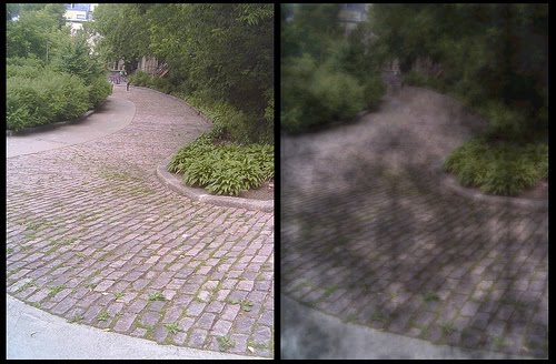 [ojossinprecio5.jpg]