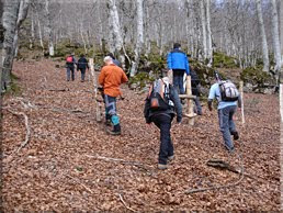 Paso de la alambrada