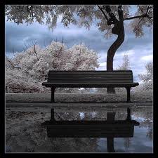 Dunia Senja Bangku Kosong