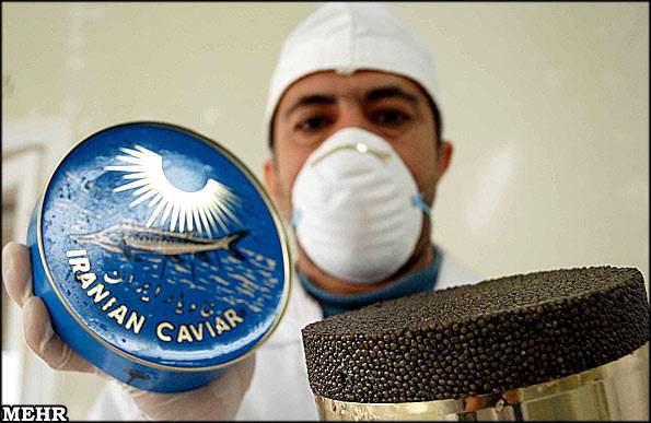 [caviar16.jpg]