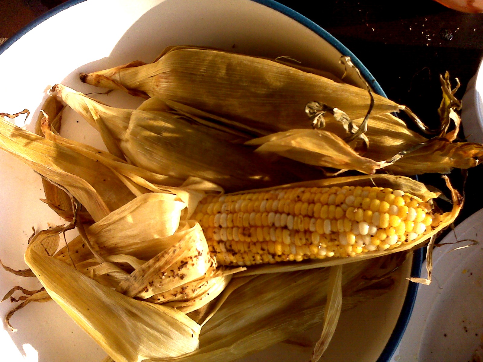 Street Food: Roasted Corn | My Gambia Street Food: Roasted Corn | My Gambia