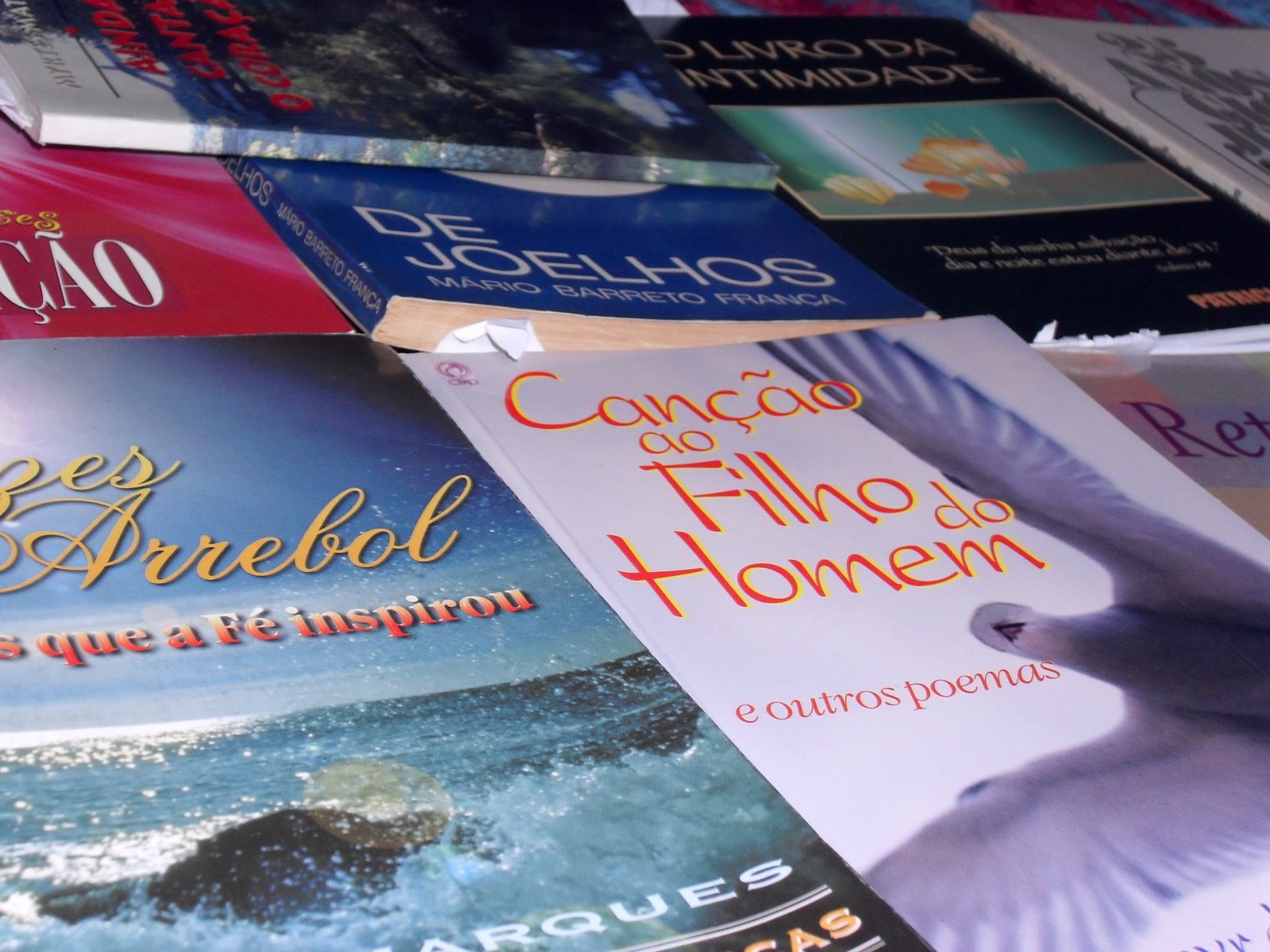 [livros_poesia_evangelica.JPG]