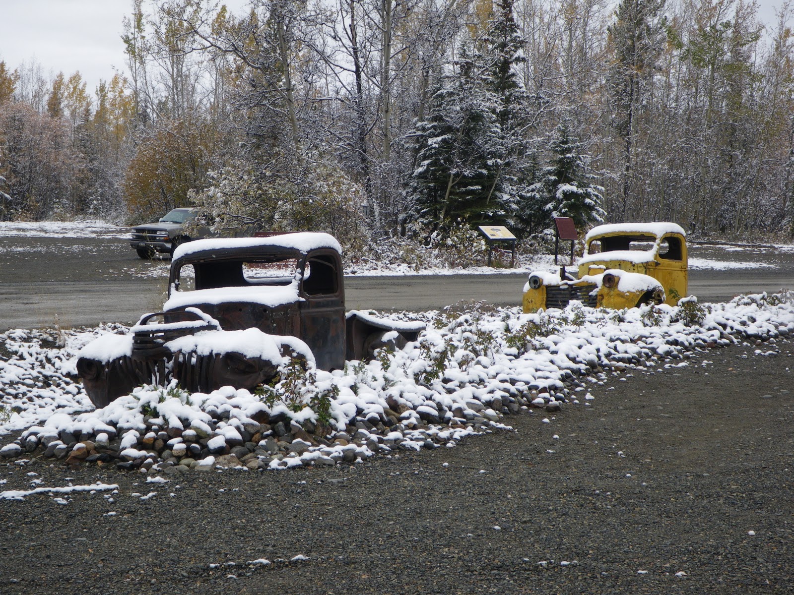 Alaska Kiwi Friday September 24th (Blizzard)
