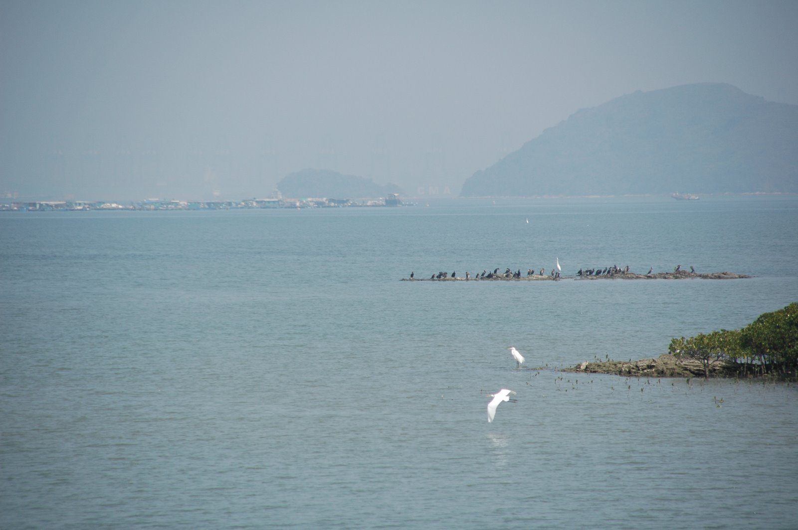 [DSC_4487.JPG]