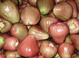 FRUIT OF BORNEO