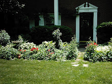 Front Long Flower Bed