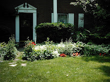 Front Flower Bed