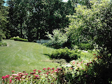 Circle of Flowers