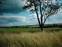 Dark Clouds And Grasses
