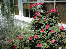 Rose Window