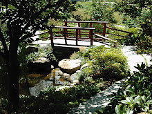 Japanese Bridge and Pond